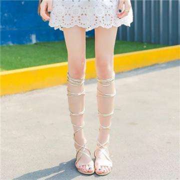 博鱼网页在线登录